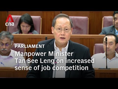 More fresh graduates from 2025 cohort entering job market immediately: Tan See Leng