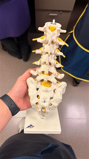 You can’t control the future but you can control your habits. And your habits control your future. ⚡️ During my pre-med and med school years, my relationship with exercise has not been the best. Residency has been busy but there’s no better time than the present to fix my problem! 💪🏽 Let me know in the comments below what you like to do for exercise ⬇️ Shoutout to @celsiusofficial for keeping me fueled throughout the day 🔋 #medstudent #residency #premedstudent #celsiusambassador #celsiuslivef