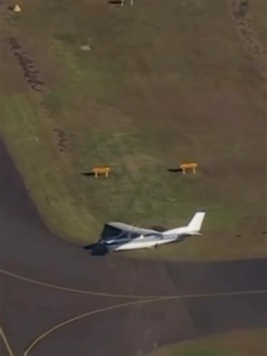 Emergency Landing of Cessna T210M After Power Loss