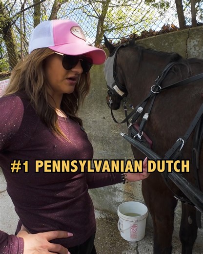 373K views · 7.9K reactions | Entering America's Most Conservative Amish Town | Drew Binsky | Facebook