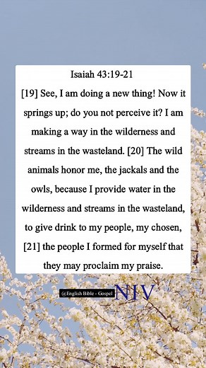 Isaiah 43:19-21 [19] See, I am doing a new thing! Now it springs up; do you not perceive it? I am making a way in the wilderness and streams in the wasteland. [20] The wild animals honor me, the jackals and the owls, because I provide water in the wilderness and streams in the wasteland, to give drink to my people, my chosen, [21] the people I formed for myself that they may proclaim my praise. | English Bible - Gospel