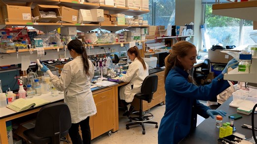 Researchers at UCLA have successfully cultivated meat