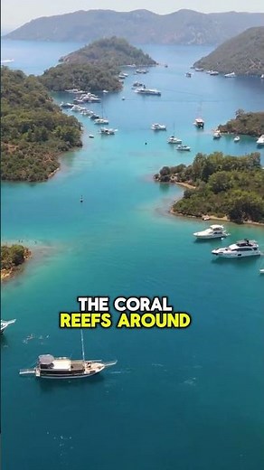 The Solomon Island Of Famous For Its Coral Reefs And Beaches #solomon