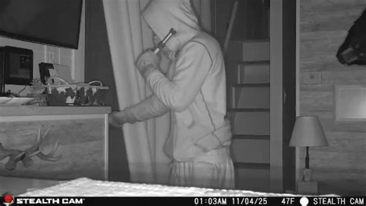 Crime Stoppers: 1 request for information, 1 wanted