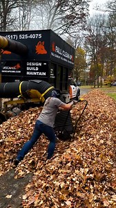 10M views · 56K reactions | The most effective way to clean up leaves  | LADbible | Facebook