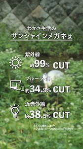 【わかさ生活/サンシャインメガネ】 【３つの有害光線】紫外線/ブルーライト/近赤外線をカット！ レンズ両反射防止により外からも内からも有害光線がカットできるわかさ生活の高機能メガネ！ | 株式会社わかさ生活