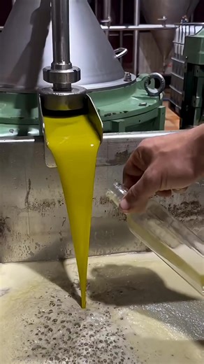 🥀🖤꧁༒☬বিষাক্ত ভালোবাসা☬༒꧂💔🖤 (@riya.capture)’s videos with original sound - ❤️𝐀𝐫𝐢𝐧 Akter❤️