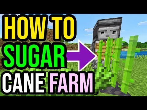 How To Make AFK SUGARCANE FARM In Minecraft Bedrock & Java! (2026!)