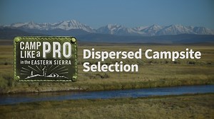 181 reactions · 24 shares | Memorial Day marks the start of the 2024...