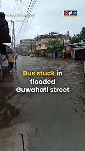 254 reactions · 22 shares | Bus stuck in flooded street — Sijubari, Guwahati. Visuals from May 30 show a city bus stranded in knee-deep water after continuous rainfall since early morning. The IMD has issued a warning for heavy to extremely heavy rain across Assam till May 31, with potential impacts including waterlogging, traffic congestion, and tree falls. #guwahati #waterlogging #gplus #guwahatiplus | GPlus | Facebook