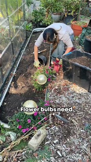 Let's plant spring bulbs! Flower gardening