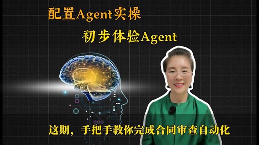 Agent实操，初步体验Agent。这期，手把手教你完成合同审查自动化！