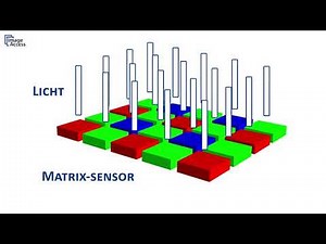 ERKLÄRUNGSVIDEO: Scan Versus Bild (Deutsche Sprache)