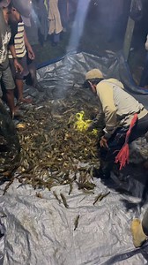 537K views · 6.2K reactions | Udangnya semakin melimpah ruah 戀 | Fian Setiawan | Facebook