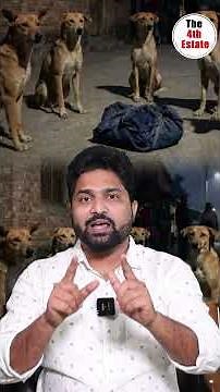 కన్నవాళ్లు వదిలేస్తే..వీధి కుక్కలు కాపాడాయి | West Bengal Heart Touching Incident | #ytshorts