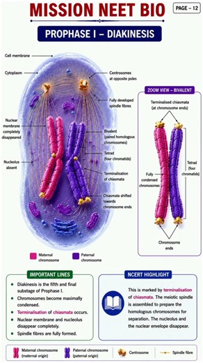 Cell Cycle & Cell Division in 3D 🤯 | Complete NCERT Explanation | Mitosis + Meiosis |