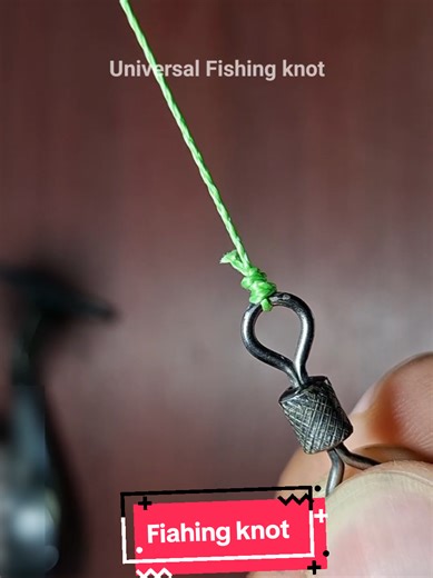 Top Fishing Knots for Swivels