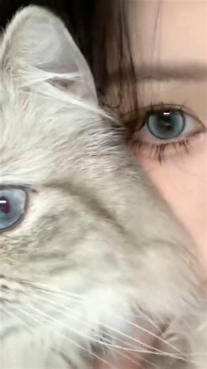 (link in description) DUOXIU Cream Grey Color Contact Lenses | Natural Korean Circle Lenses |