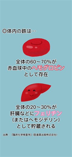 健康診断などで血液検査を受ける前に知っておきたいことを、簡単な動画でご紹介します。 #医療 #血液検査 #健康診断 #豆知識 #ナレーション #ナレーター