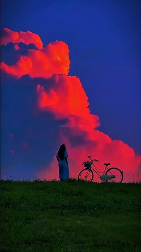 Stereo Hearts - Gym class Heroes ft.Adam Levine ( My hearts a stereo )