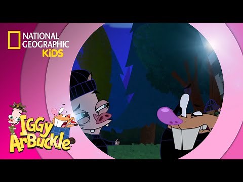 There's Something About Berries | Iggy Arbuckle
