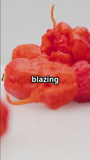 Hot or Not? The Scoville Scale Explained!