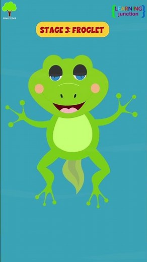 Life Cycle of a Frog #shorts #youtubeshorts #short #cartoon #kids #kidsshorts