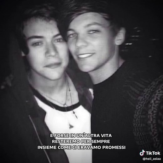 per stasera basta tik tok#andiamoneiperteee #fipシviral #larrystylinson #harrystyles #louistomlinson