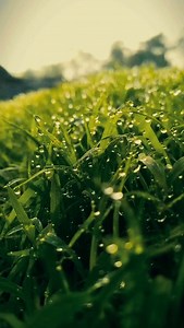 16 reactions | This Earth Day, we’re building a better future—one...