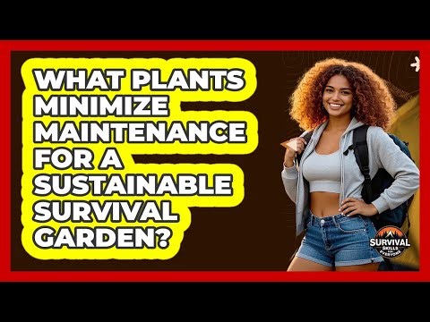 What Plants Minimize Maintenance For A Sustainable Survival Garden? - Survival Skills for Everyone