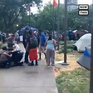 297K views · 1.2K reactions | 1 person was killed after a gunman opened fire at protesters demanding justice or Breonna Taylor in Louisville, KY — the suspect has been identified, arrested, and charged with murder (warning: distressing) | NowThis | Facebook