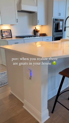 Audrey Ross | At Home With Audrey on Instagram: "Comment “BUG” to get the link for this gnat trap sent to you! Have you seen these? We added it to our kitchen island a few weeks ago because we go in & out the sliding door to our deck and pool and can’t keep these darn gnats & flies out 🤮🤢 #amazonfinds #bugtrap #homehacks #flytrap #gnats"