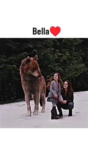 movie zone | The Twilight Saga: Breaking Dawn - Part 2 🧛‍♂️🐺 Genre: Fantasy, Romance, Drama Length: 1h 55m IMDb Rating: 5.5/10 Explanation: In the epic... | Instagram