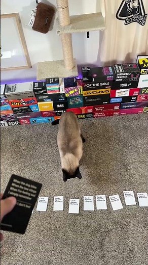 Cards Against Humanity