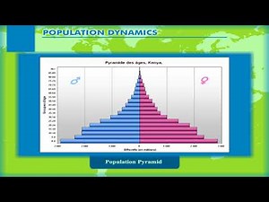 Population Dynamics – The Population Pyramid class-8