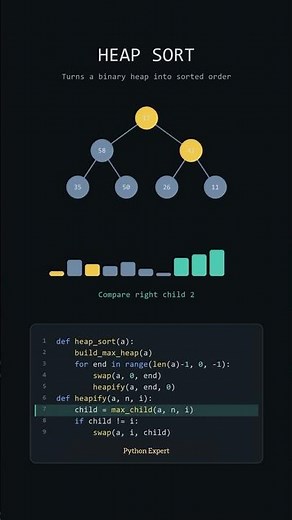 Heap Sort Explained in 30 Seconds | DSA Visualization#developer #developer #coding #programming #dsa