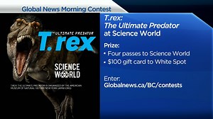 3.2K views · 42 reactions | Contest Alert!!! Global BC is giving...