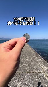 100円でマダイ食べるぞ！！！ #釣り #アウトドア VOICEVOX:ずんだもん BGMクレジット(作者名表記) : こおろぎ（Audiostock） / PIXTA(ピクスタ)