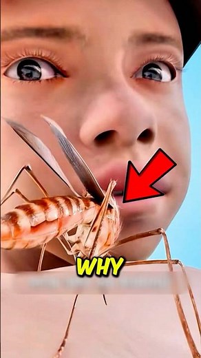 If You Ever Feel Like Mosquitoes Only Bite You, Here’s Why