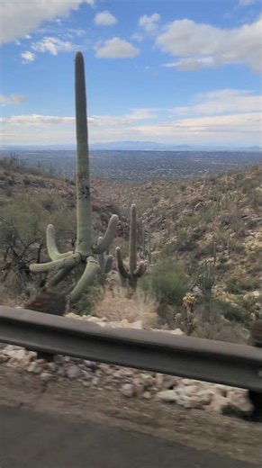 Dios Abre Caminos donde no hay | La Vista más bella de Tucson: Mount Lemmon