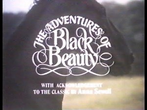 Nickelodeon: The Adventures of Black Beauty