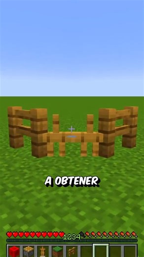 DIAGONAL FENCES FOR DECORATION (EASY)