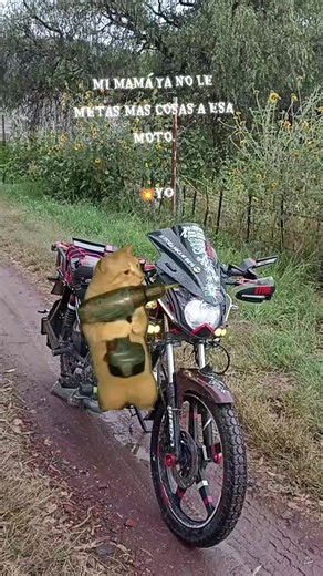 Videos de ElDeLaAtom👹 (@eldela_atom) con “original sound - Gustavo Montoya”