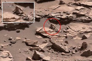 UFO hunters have spotted a FACEHUGGER crawling alien on Mars