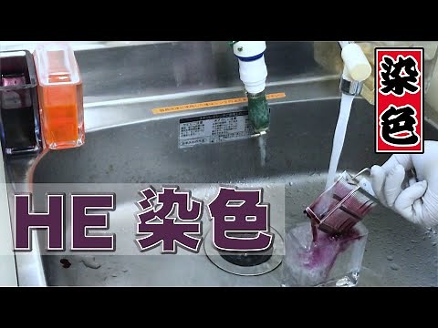 HE染色のコツ
