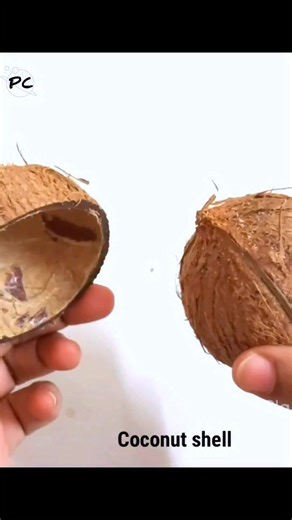 Creative coconut shell craft #art #craft #DIY #fbreelsfypシ゚ | PC Crafts Planet