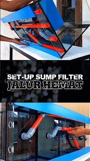 SET-UP Sump Filter Aquarium Versi Low Budget