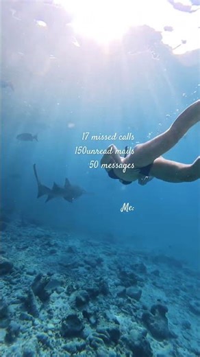 Snorkelling in Maldives #snorkeling #travelvlog #travel #maldives #entertainment #adhd