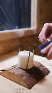 Wooden stick bird feeder | 5-Minute Crafts Family