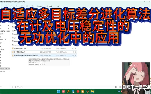 多目标差分进化算法、电压稳定性、无功优化